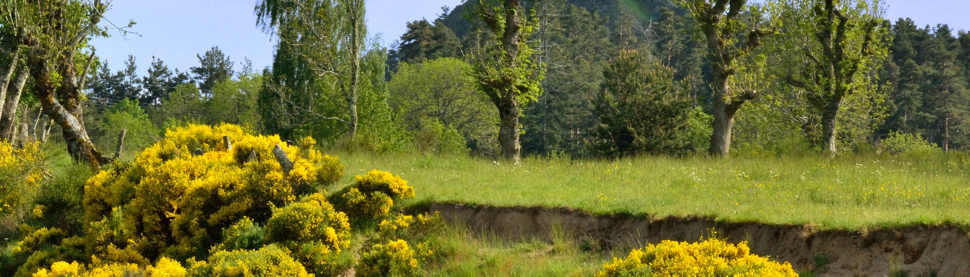 Saint Sauveur de Peyre - Commune déléguée de Peyre en Aubrac