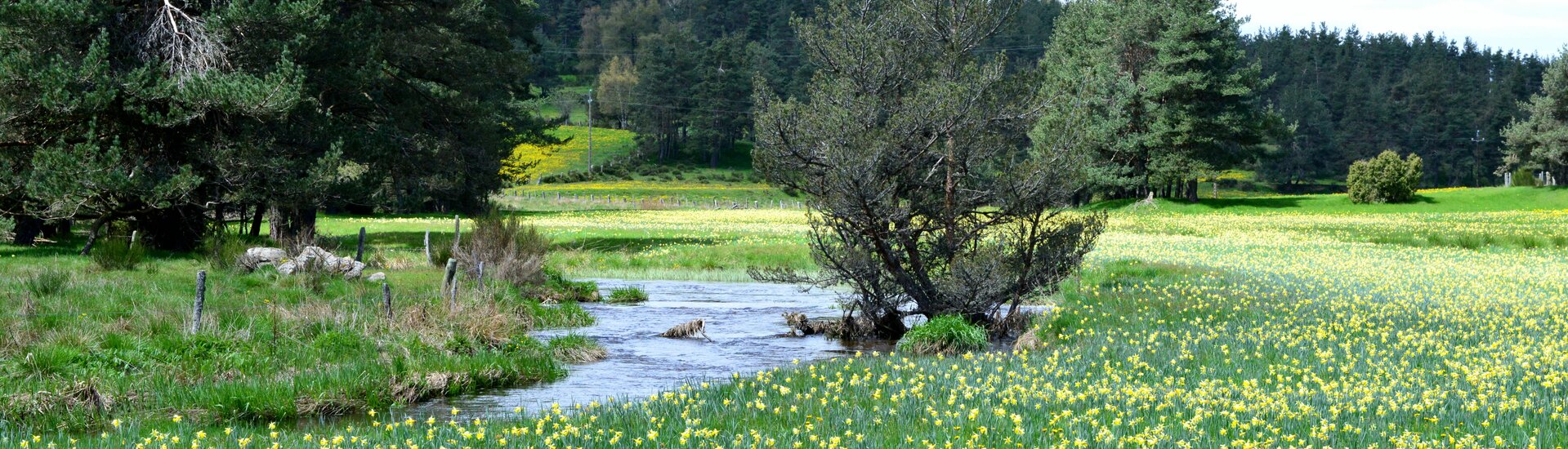 Saint Sauveur de Peyre - Commune déléguée de Peyre en Aubrac