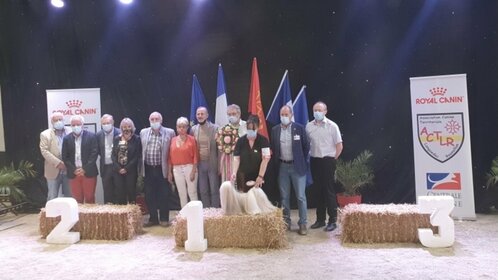 Aumont-Aubrac a accueilli sa première exposition canine nationale