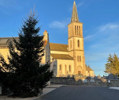 Le sapin de Noël est arrivé 