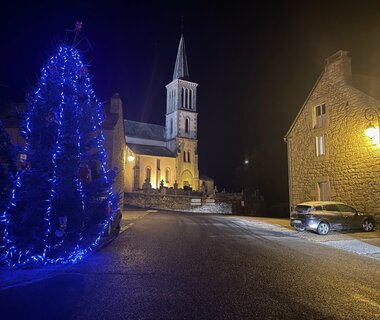 Le sapin décoré et la crèche installée pour Noël 