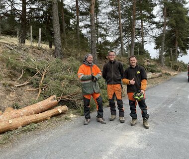 30 arbres abattus entre Aubigeyres et le PN107