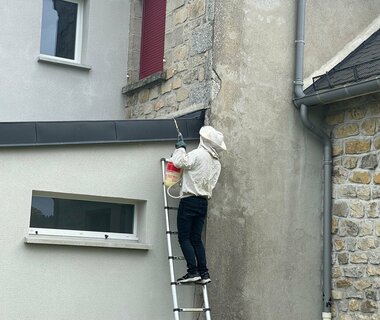 Un impressionnant nid de guêpes préoccupant à l'école publique 