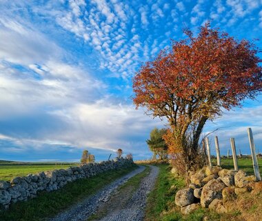 Les vingt photos de la semaine 