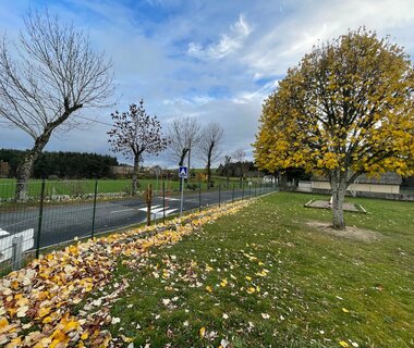 Planté il y a trente trois ans 