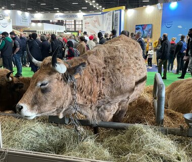 Retour sur le Salon International de l'Agriculture